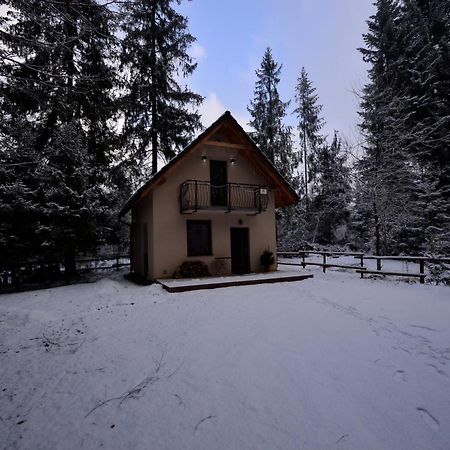 Chata Pod Skocznia Wisla Malinka Villa Dış mekan fotoğraf