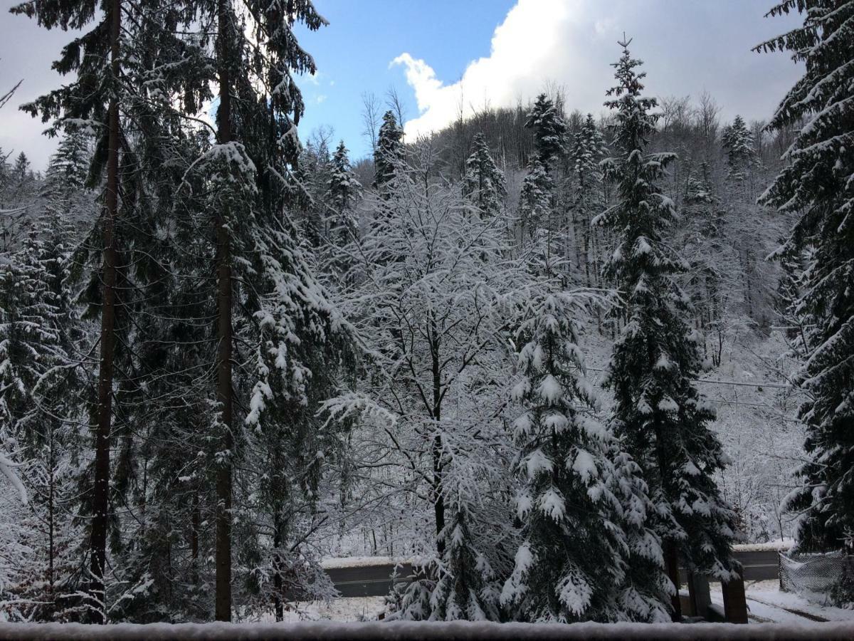 Chata Pod Skocznia Wisla Malinka Villa Dış mekan fotoğraf