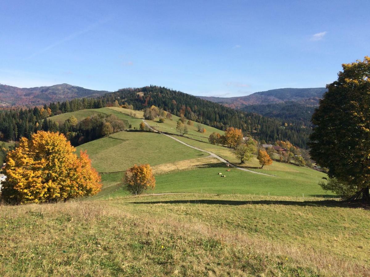 Chata Pod Skocznia Wisla Malinka Villa Dış mekan fotoğraf