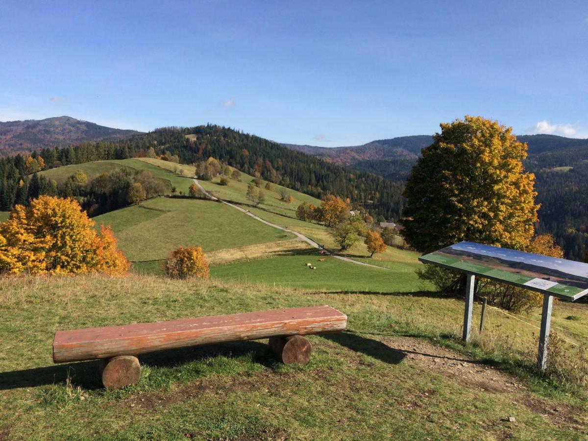 Chata Pod Skocznia Wisla Malinka Villa Dış mekan fotoğraf