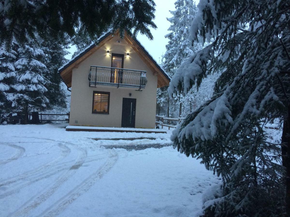 Chata Pod Skocznia Wisla Malinka Villa Dış mekan fotoğraf